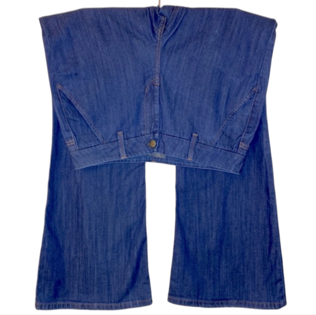 Level 99 | Tanya High Rise Flare Jeans